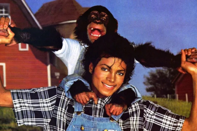 Chimpanzé Bubbles, de Michael Jackson, vive em santuário luxuoso após herança milionária