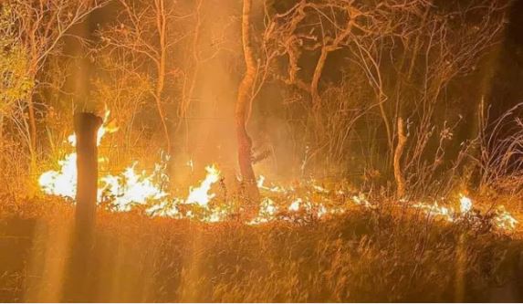 Município do cerrado baiano é um dos que mais sofre por queimadas no Brasil