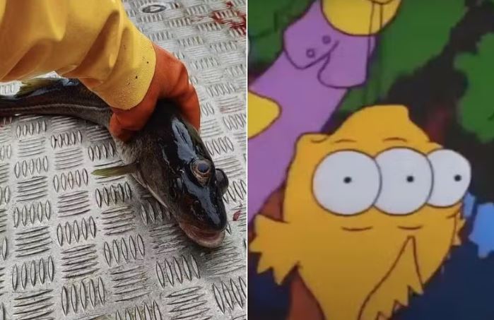 ‘Simpsons’ acerta mais uma previsão: peixe de três olhos é fisgado