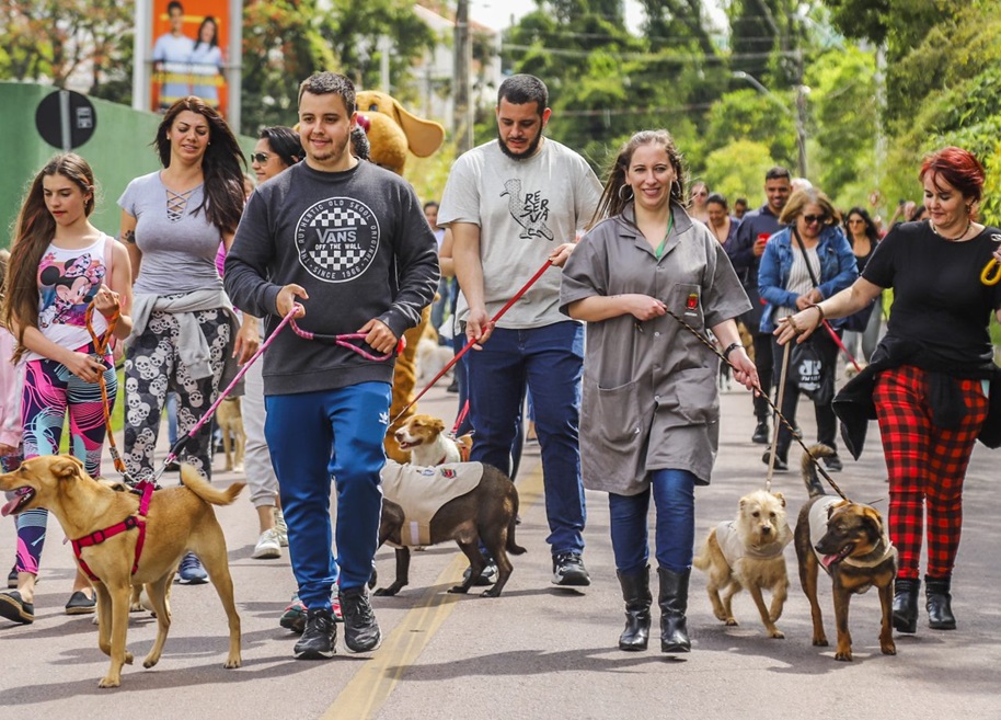 CÃOminhada: trilha para cachorros e tutores acontece no entorno do Farol da Barra