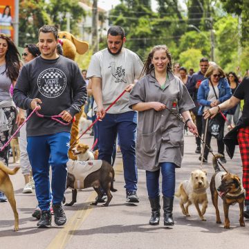 CÃOminhada: trilha para cachorros e tutores acontece no entorno do Farol da Barra