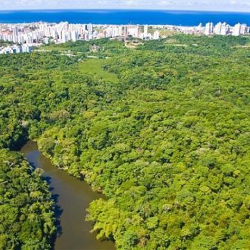 Escola do Legislativo de Salvador promove Trilha ecológica no Rio Cascão, no Cabula