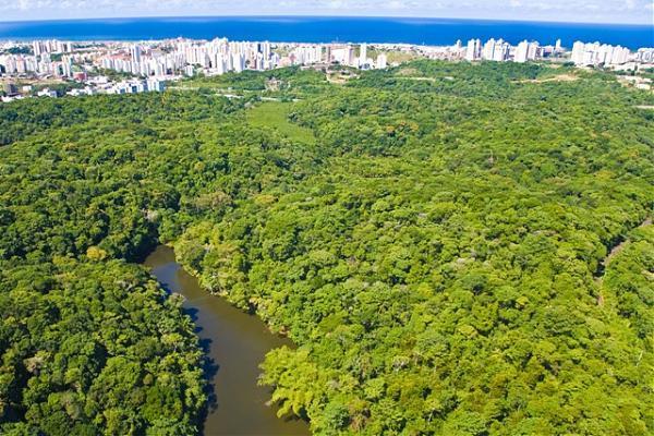 Escola do Legislativo de Salvador promove Trilha ecológica no Rio Cascão, no Cabula