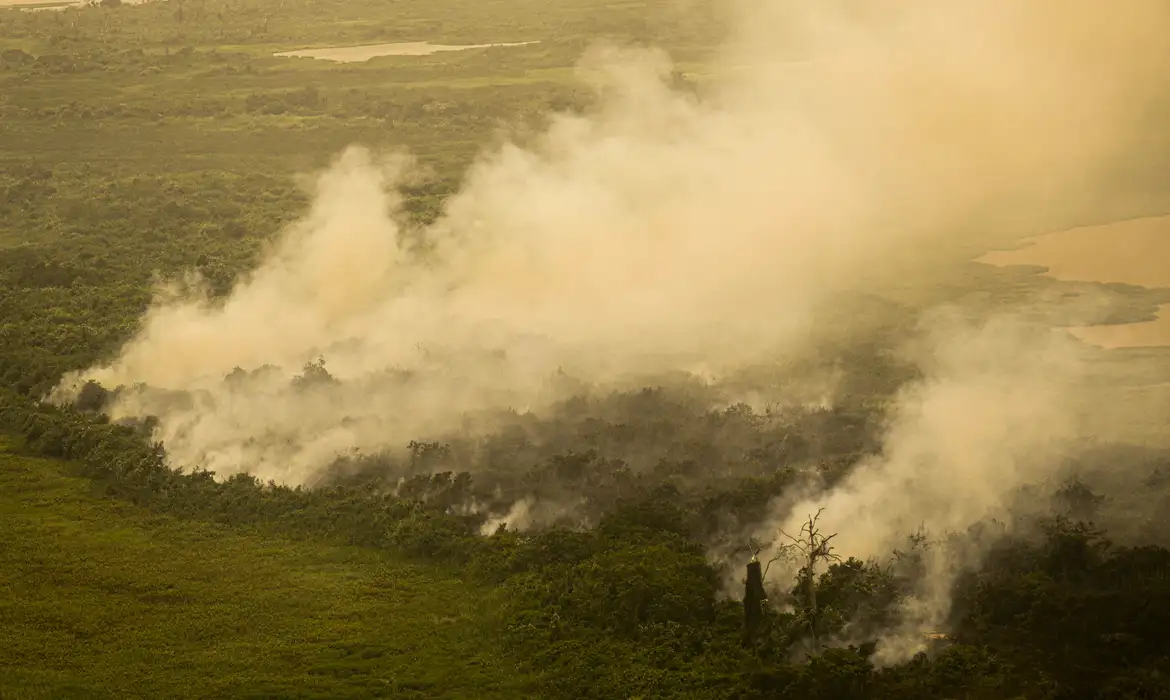 FAB faz três voos sobre o Pantanal para combater queimadas