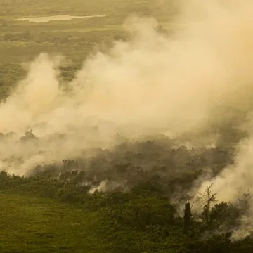 Mato Grosso do Sul decreta situação de emergência após incêndios no Pantanal
