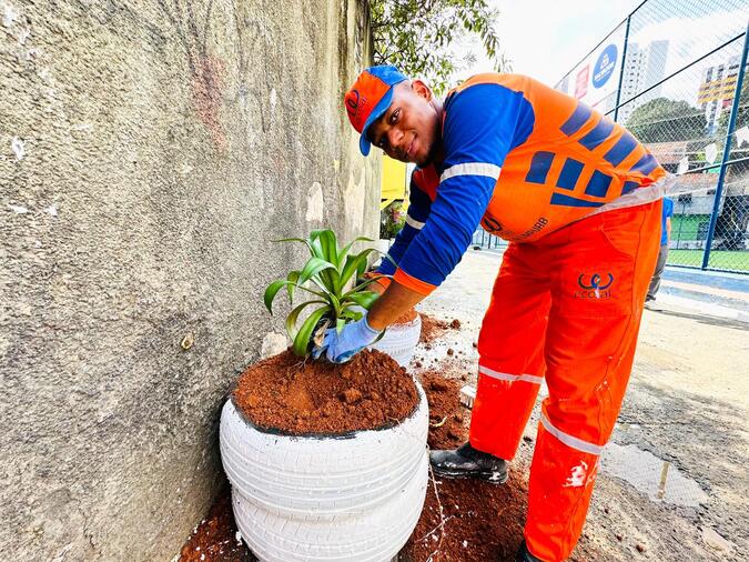 Salvador ganha três novos pontos verdes com mudas de plantas: “Melhorar nosso ambiente”