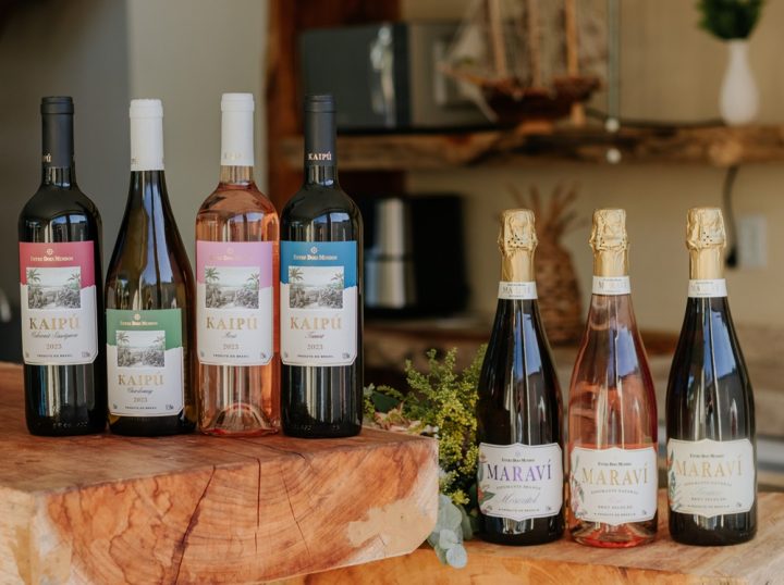 Com espumantes produzidos na Bahia, Grupo Wine investe na criação de vinícola