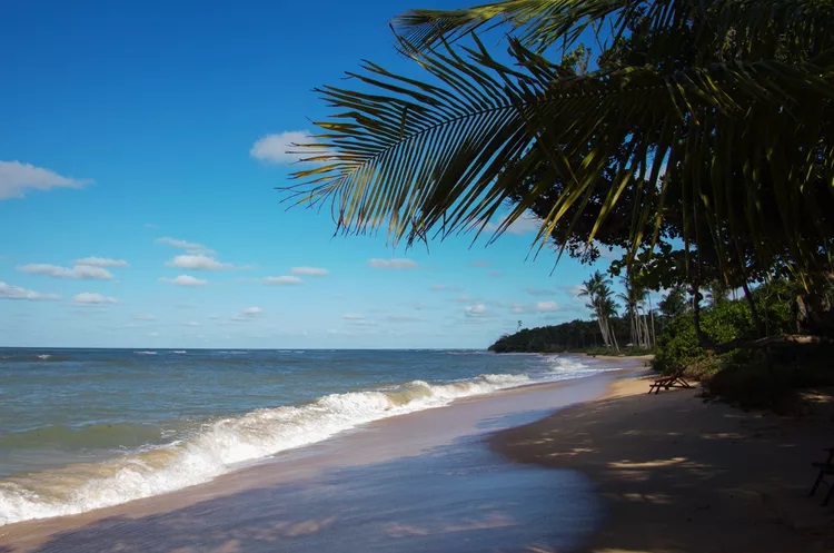 Repórter de publicação internacional visita Salvador e Trancoso: ‘exatamente o que eu desejava’