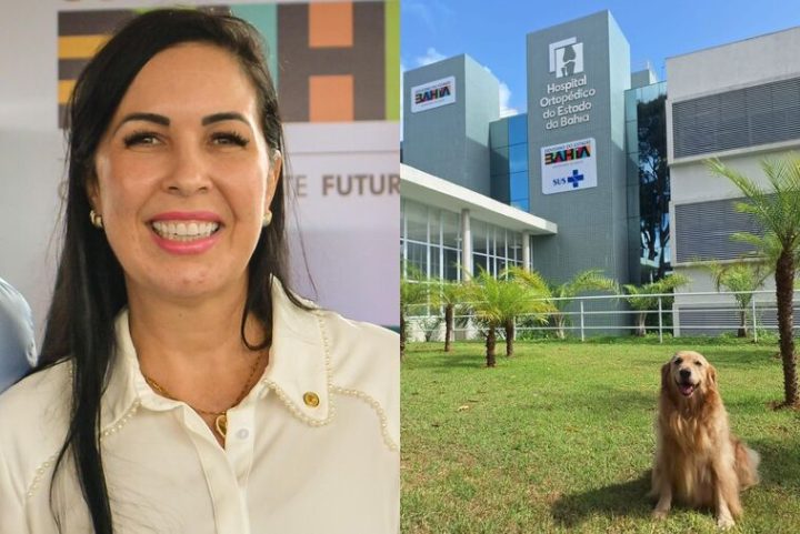 Deputada propõe Terapia Assistida por Animais em hospitais da Bahia; técnica foi adotada pelo Hospital Ortopédico