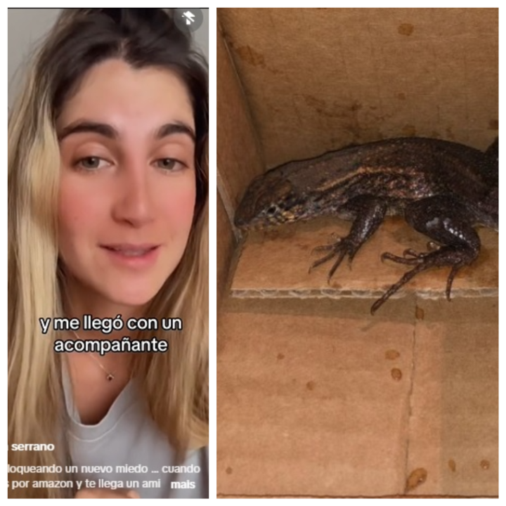 Colombiana compra air fryer pela internet e recebe lagarto dentro da embalagem