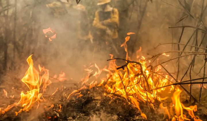 Governo federal destina R$ 137,6 milhões para combate a queimadas no Pantanal