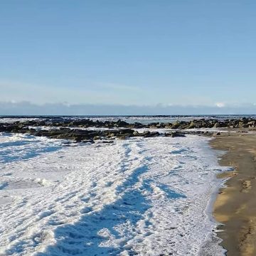 Frio intenso congela o mar na Argentina