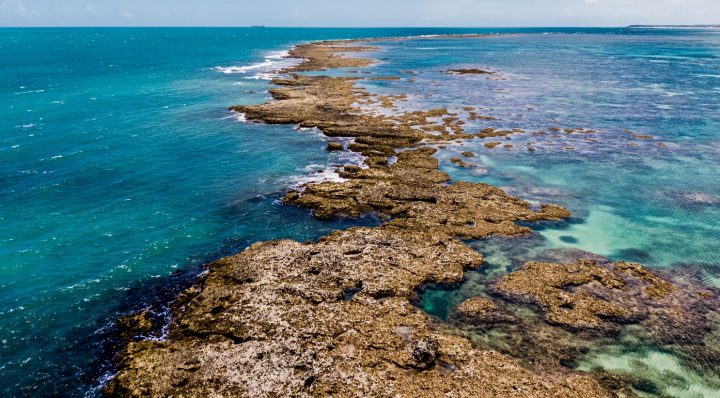 CODEBA firma parceria para recuperação de recifes de corais nos portos da Bahia