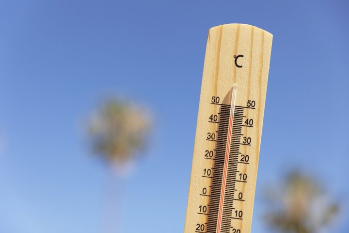 Com altas temperaturas, 2024 pode ser ano mais quente registrado no planeta