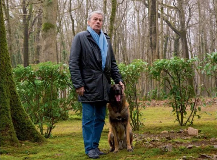 Cão de Alain Delon não será sacrificado como pediu o ator