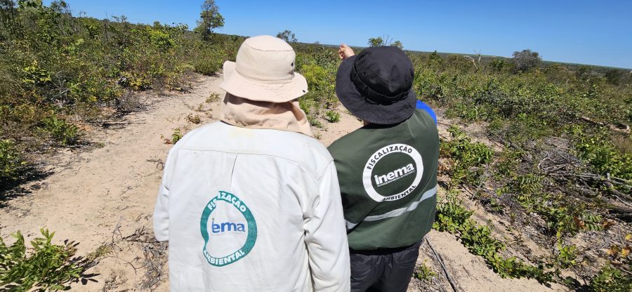 Bahia reduz desmatamento no cerrado em 52,4%