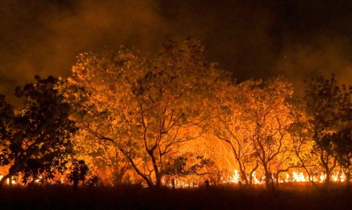 Fumaça de queimadas na Amazônia e no Pantanal atinge cidades de dez estados brasileiros