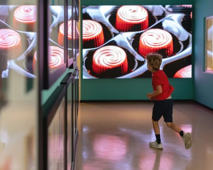 Bahia ganhará museu inédito dedicado ao chocolate