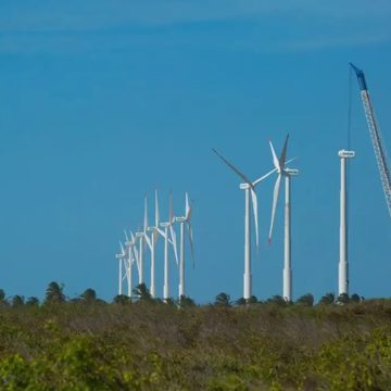 Nordeste tem segundo recorde consecutivo de geração de energia eólica