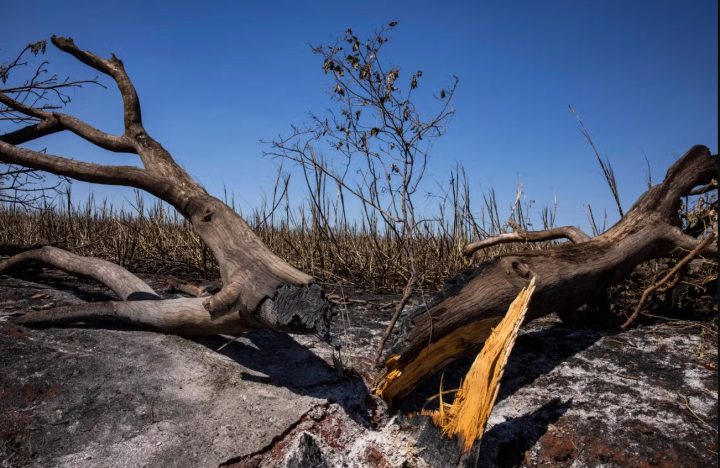 Umidade relativa do ar no Brasil pode chegar a níveis dos desertos do Atacama e Saara