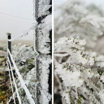 Cidade mais fria do Brasil tem neve e sensação de -19ºC; veja fotos de paisagem congelada