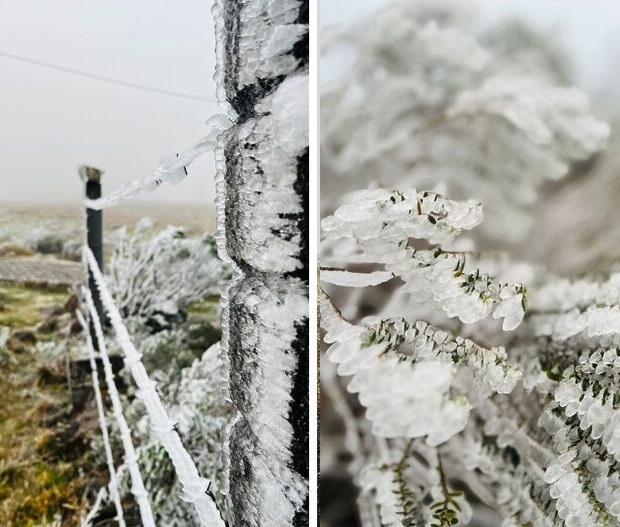 Cidade mais fria do Brasil tem neve e sensação de -19ºC; veja fotos de paisagem congelada