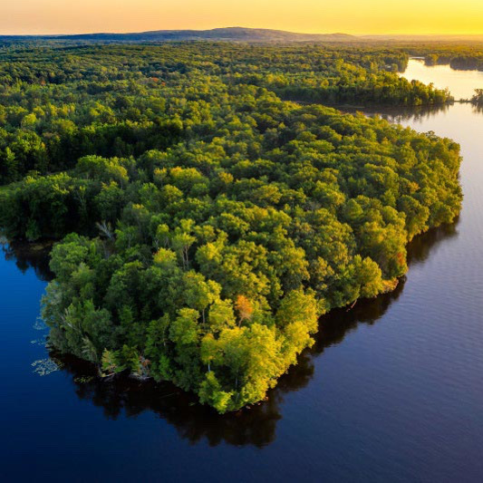 Governo Federal vai liberar R$ 514 milhões e acelerar repasses do Fundo Amazônia com novas MPs