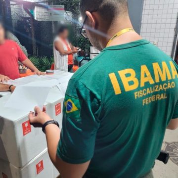 Operação no Aeroporto de Salvador combate tráfico internacional de fauna e flora