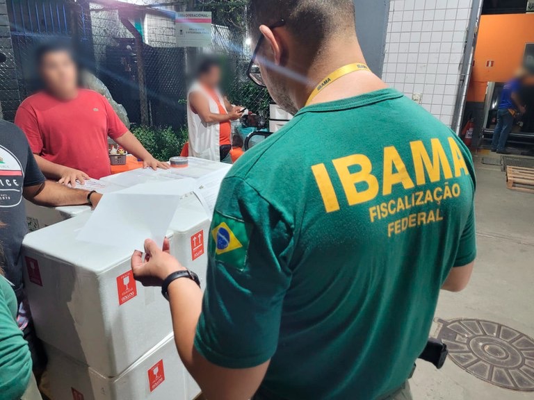 Operação no Aeroporto de Salvador combate tráfico internacional de fauna e flora