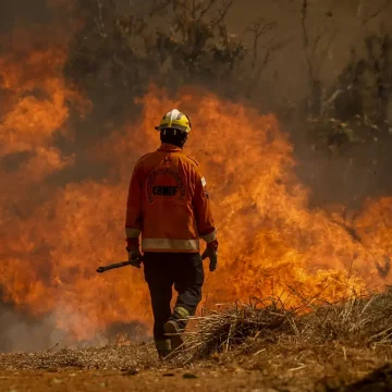 Brasil registra 2,7 mil focos de incêndios florestais nas últimas 24 horas