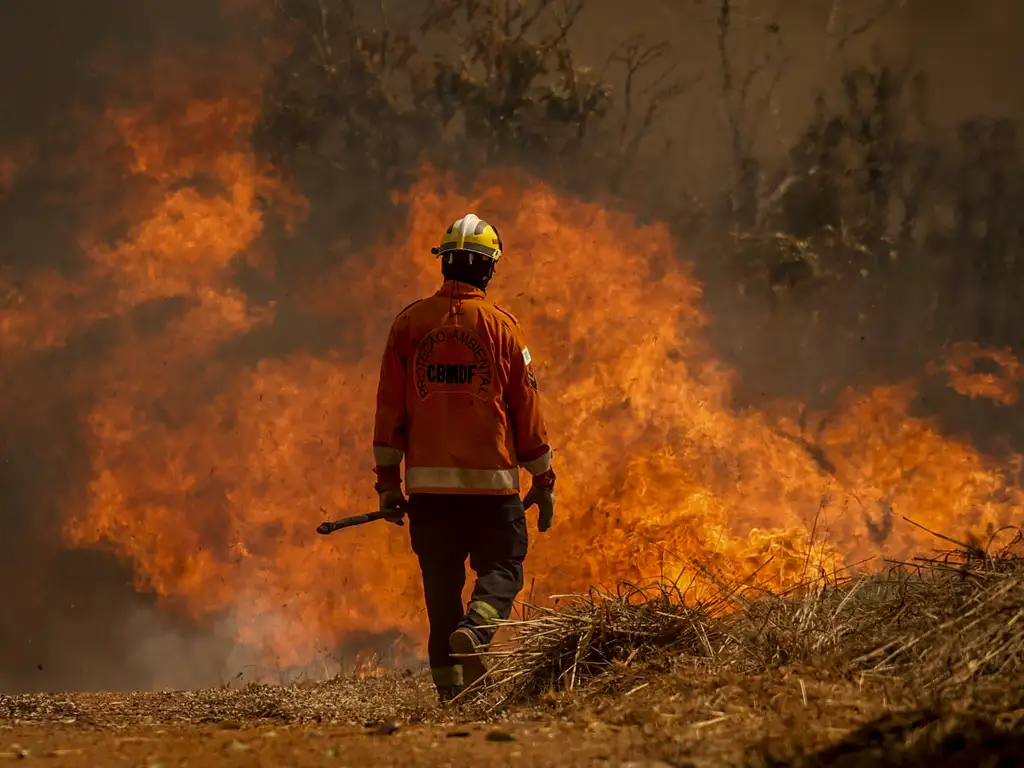 Brasil registra 2,7 mil focos de incêndios florestais nas últimas 24 horas