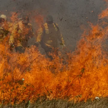 Tempo seco: Parque da Cantareira é fechado por causa de incêndio