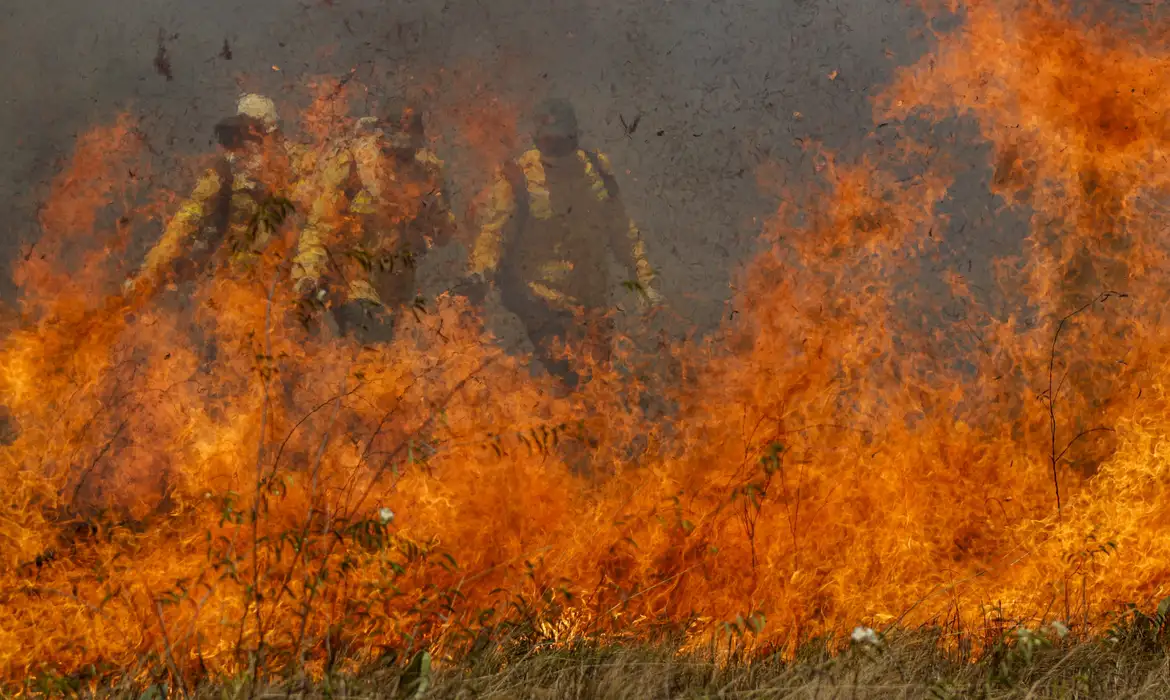 Tempo seco: Parque da Cantareira é fechado por causa de incêndio