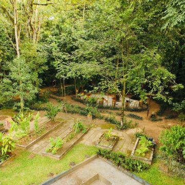 Jardim Botânico é opção de lazer em setembro, mês que se inicia a primavera