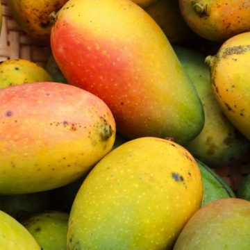 Fruticultura baiana atinge patamar recorde e gera R$ 5,7 bilhões em 2023