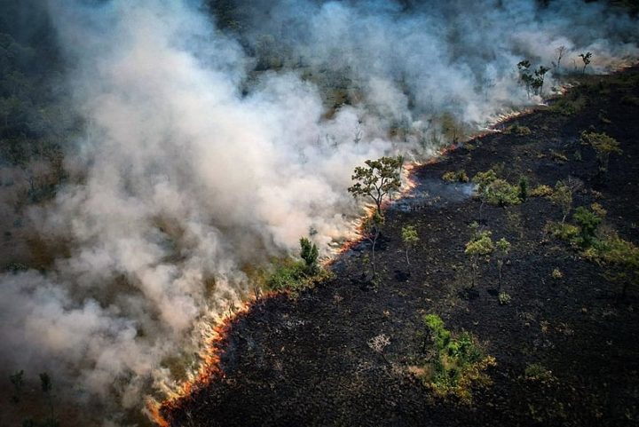 Fumaça de queimadas recordes na Amazônia alcança sul do país