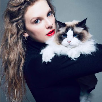 Taylor Swift doa R$ 259 mil para enfermeira atropelada ao salvar vítimas de acidente