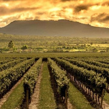 Morro do Chapéu, na Chapada Diamantina, ganha nova vinícola em 2026; aos detalhes