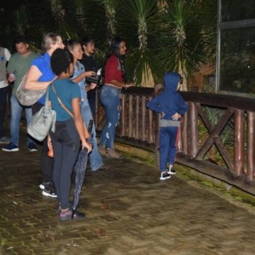 Zoológico de Salvador promove mais duas edições do ‘Zoo Noturno’; saiba quando