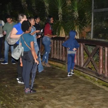 Zoológico de Salvador abre nova temporada para visitação noturna