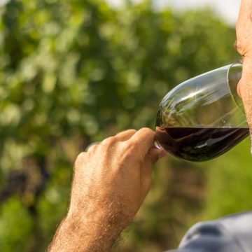 PL quer reconhecer vinho como alimento e reduzir impostos; saiba mais