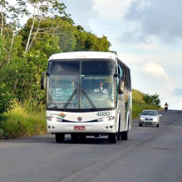 Transporte intermunicipal será gratuito nos dias de eleição na Bahia; veja regras