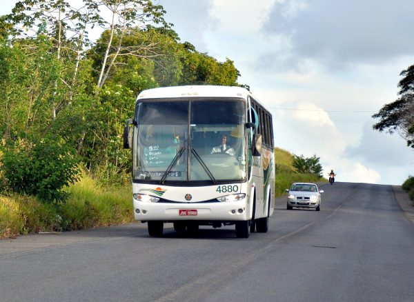 Transporte intermunicipal será gratuito nos dias de eleição na Bahia; veja regras