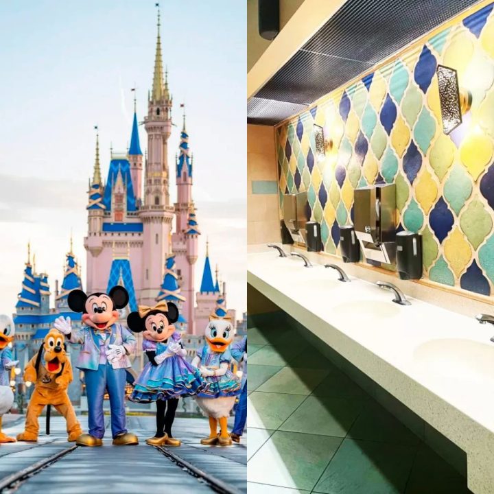 Disney tira espelhos dos banheiros dos parques; saiba por quê
