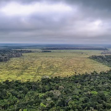 Degradação de florestas na Amazônia bate recorde mensal em setembro