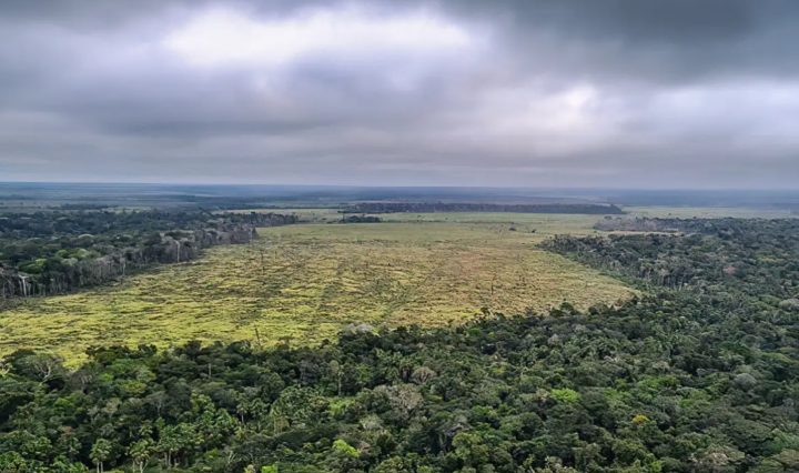 Degradação de florestas na Amazônia bate recorde mensal em setembro