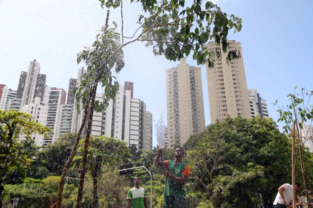 Corredor Verde de Salvador começa a ser implantado na Vasco da Gama e Itaigara