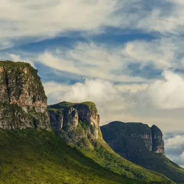 Cafés da Chapada Diamantina conquistam selo de denominação de origem, como a região de Champagne, na França