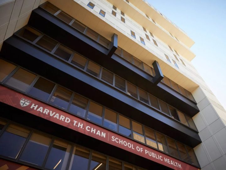Fundação abre inscrições para bolsas de estudo em Harvard e Johns Hopkins University; saiba como participar