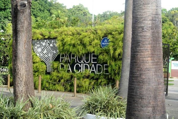 Salvador tem programação infantil especial no Parque da Cidade; confira